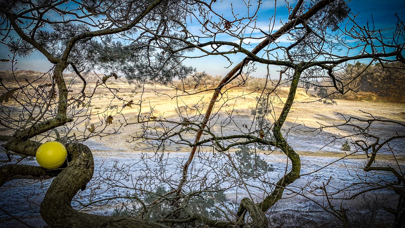 Featured image for “Duinen”