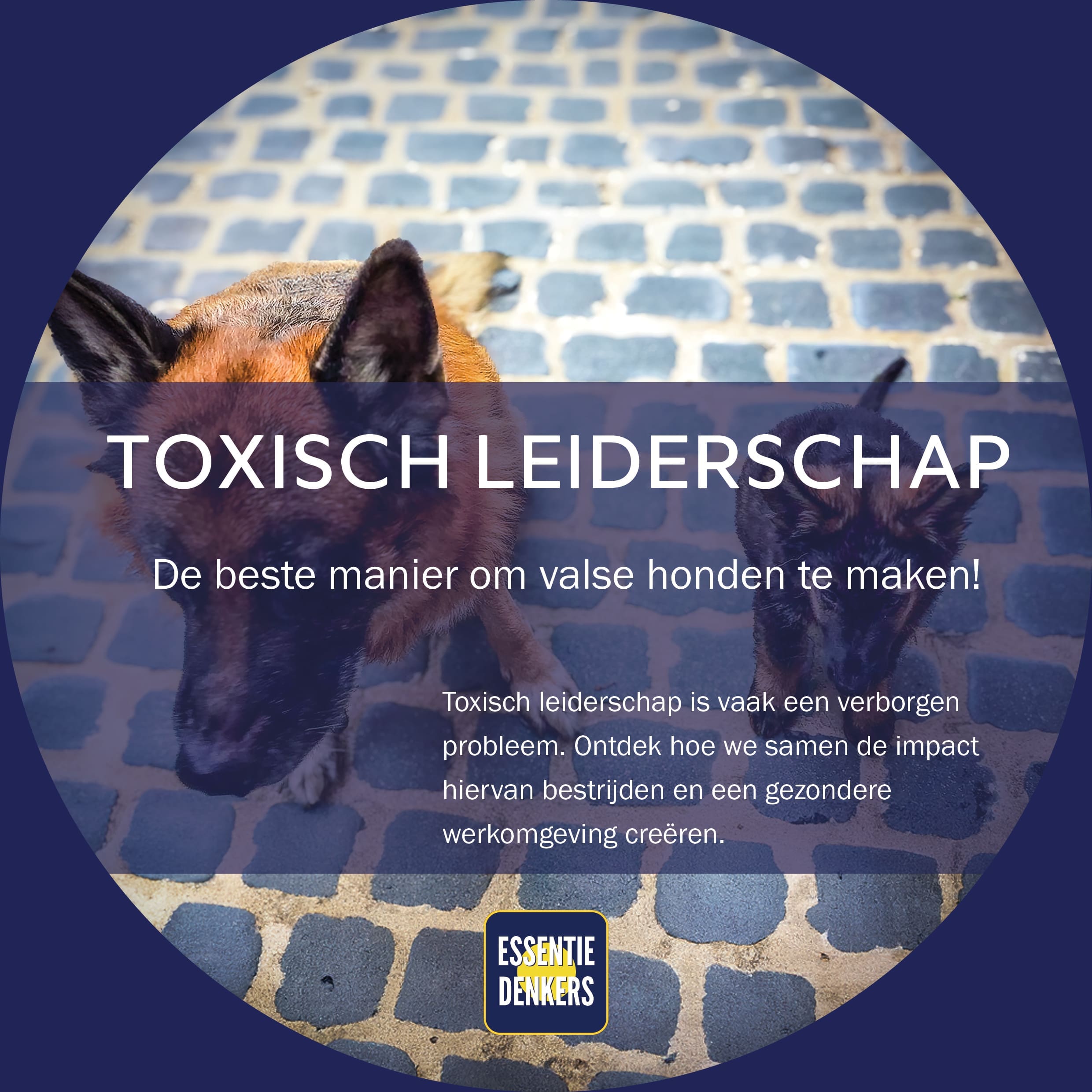 Featured image for “Toxisch leiderschap, de beste manier om valse honden te maken!”